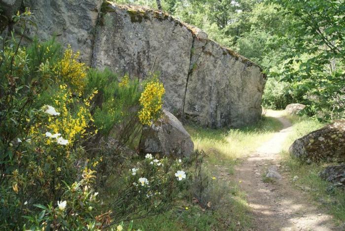 Casa Rural Cabeza Lobera Villanueva de Avila Bagian luar foto